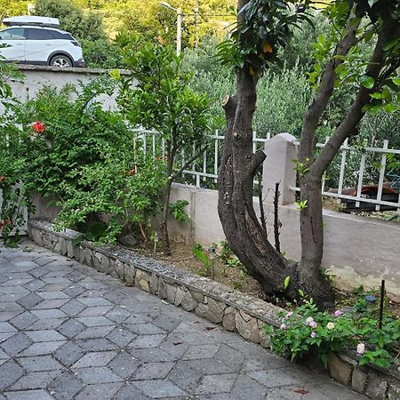 Studios Dolcek Крвавица Экстерьер фото