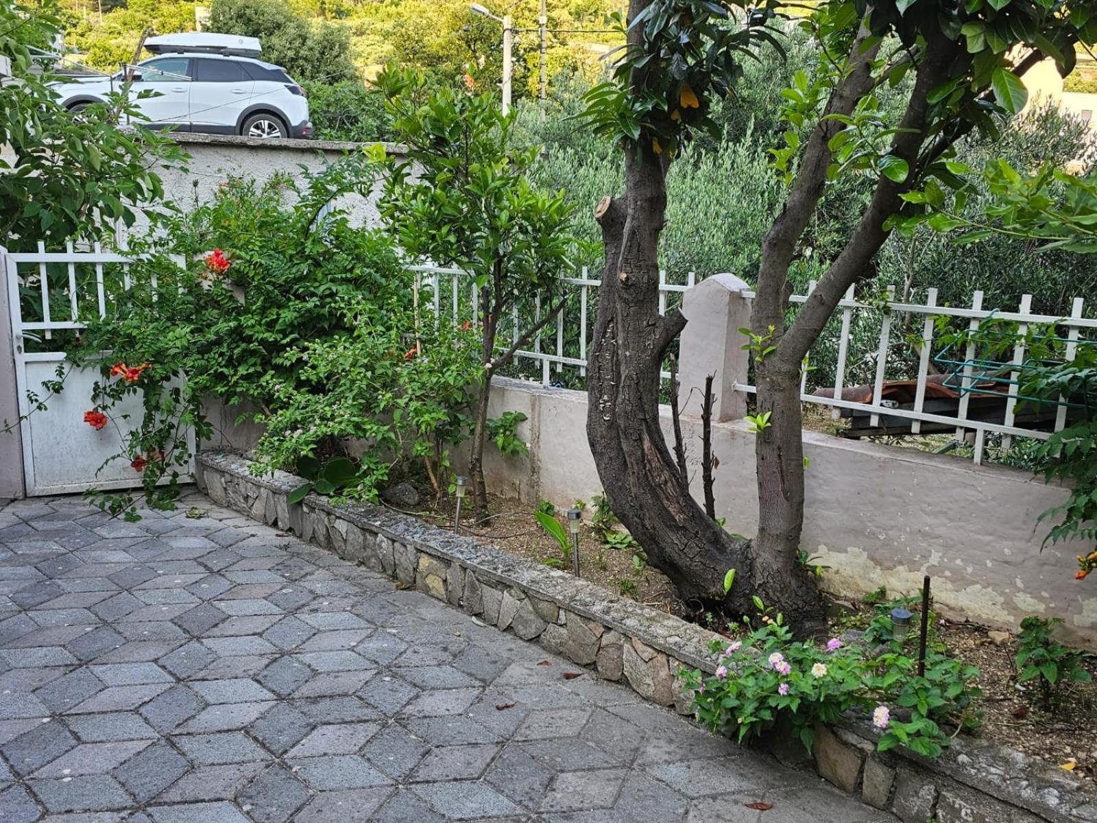 Studios Dolcek Крвавица Экстерьер фото